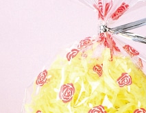 ネストパッキン