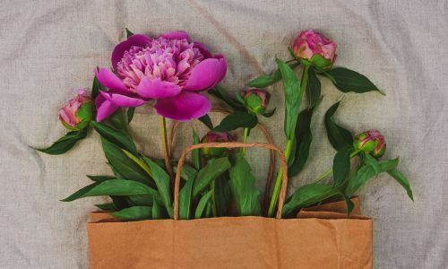 2.ドライヤーをかける