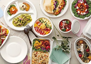 バガス フードパック