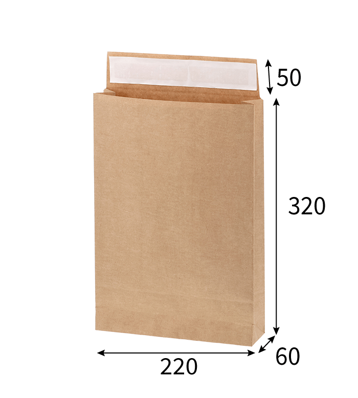 HEIKO Eタイプ宅配袋 SS