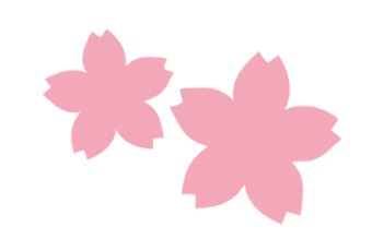 桜のラッピング／カード・用紙
