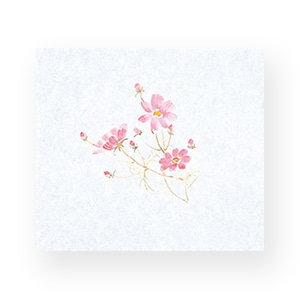 秋桜