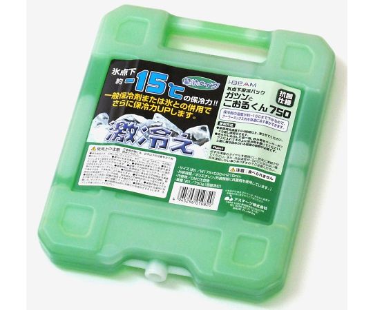 JEJアステージ 氷温パック　ハード　0.75kg　ハード750 1個（ご注文単位1個）【直送品】