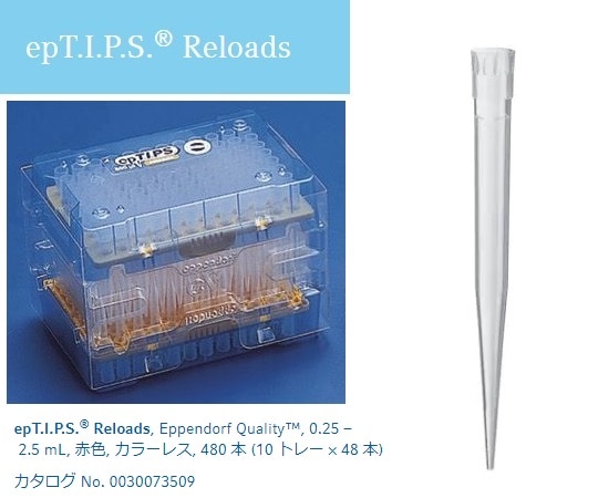 エッペンドルフ ピペットチップ（epTIPS）　リロード　250～2500μL　48本×10トレー入　0030073517 1箱（ご注文単位1箱）【直送品】