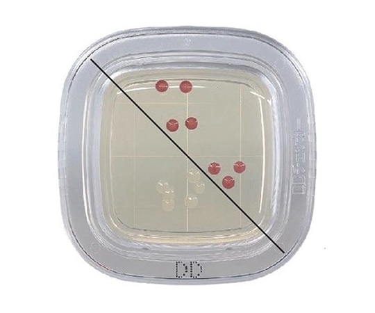 栄研化学 ぺたんチェックRDD DD寒天培地 1箱（20枚入）　PD0001 1箱（ご注文単位1箱）【直送品】