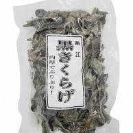 黒木耳 100g 常温 1個※軽（ご注文単位1個）※注文上限数12まで【直送品】