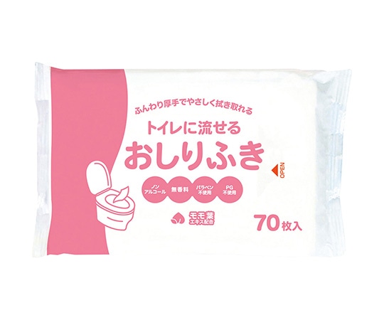 大富士製紙 トイレに流せる介護用ウェットおしりふき 1袋（70枚入）　M0058 1袋（ご注文単位1袋）【直送品】