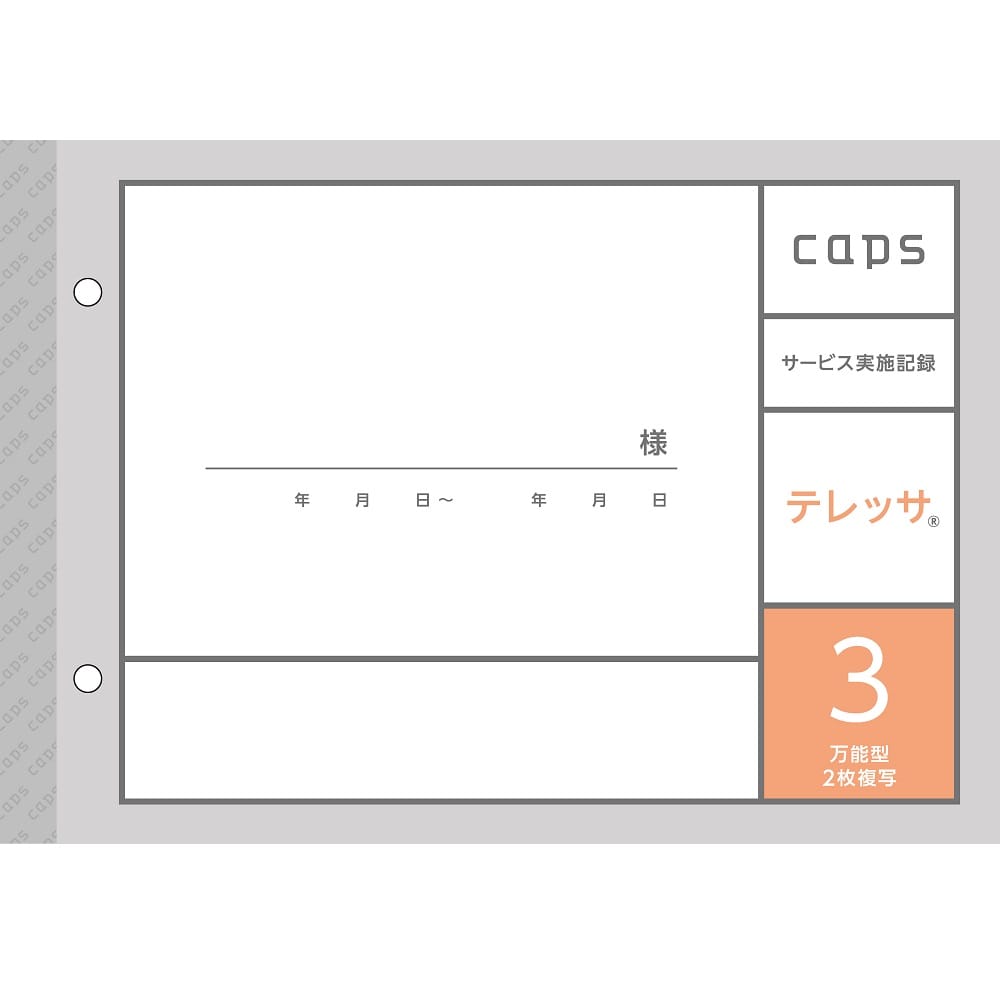 タニシ企画印刷/CAPS（キャプス） 看護・介護記録用紙 テレッサ3 サービス実施記録 A5 1セット(50組×20冊入)　M07123 1セット（ご注文単位1セット）【直送品】