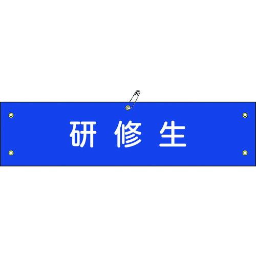 トラスコ中山 緑十字 ビニール製腕章 研修生 腕章-50A 90×360mm 軟質エンビ（ご注文単位1本）【直送品】