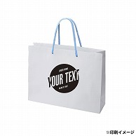 【オリジナル印刷】特注TCB 高級手提げ袋 320×110×250 1色 ベタ無 500枚