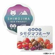 【オリジナル印刷】 特注シール（透明PET） 縦横の寸法合計100mm以内　300枚 フルカラー 1式