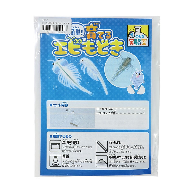 ㈱アーテックてのひら実験室　育てるエビもどき（袋タイプ） 1個（ご注文単位1個）【直送品】