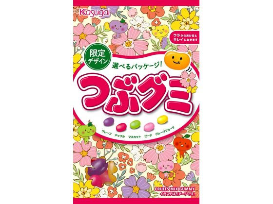 春日井 つぶグミ 1袋※軽（ご注文単位1袋)【直送品】