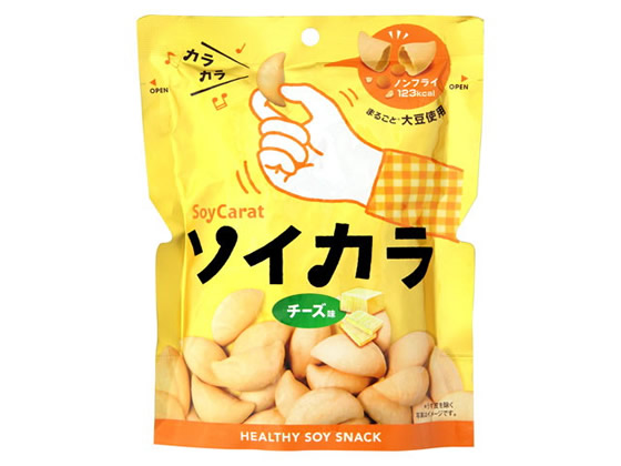 大塚製薬 ソイカラ チーズ味 1袋※軽（ご注文単位1袋)【直送品】