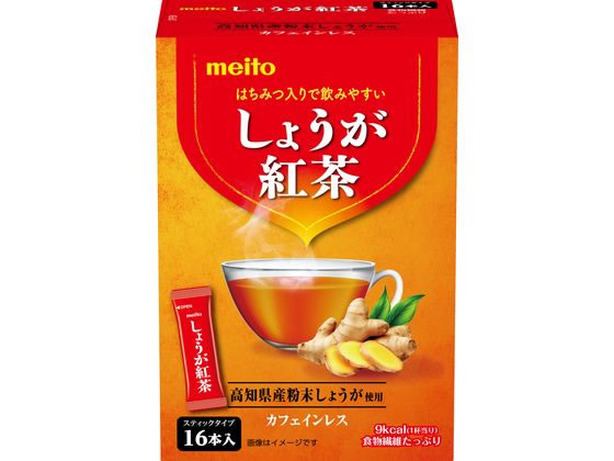 名糖産業 しょうが紅茶 16本 1箱※軽（ご注文単位1箱）【直送品】