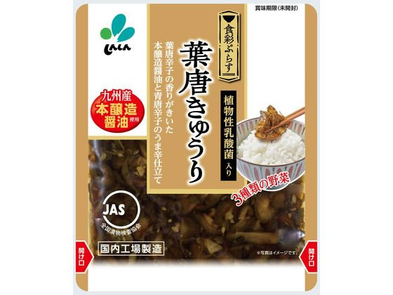 新進 食彩ぷらす 葉唐きゅうり 90g 1個※軽（ご注文単位1個）【直送品】