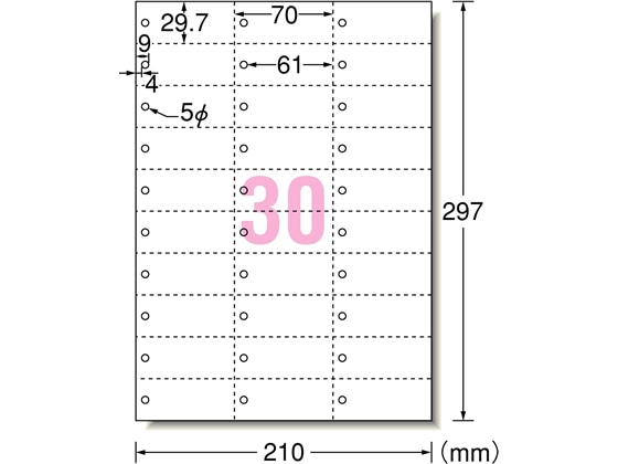 エーワン マルチカード単語帳カード穴あきタイプ A4 30面 5枚 51163 1冊（ご注文単位1冊)【直送品】