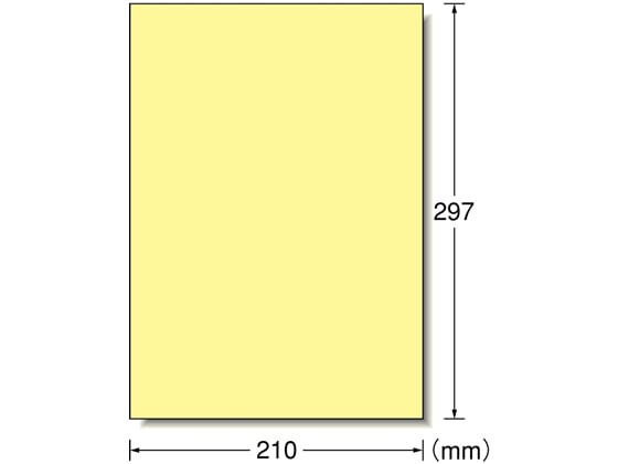 エーワン ラベルシール A4 ノーカット クリーム 15枚 28494 1冊（ご注文単位1冊)【直送品】