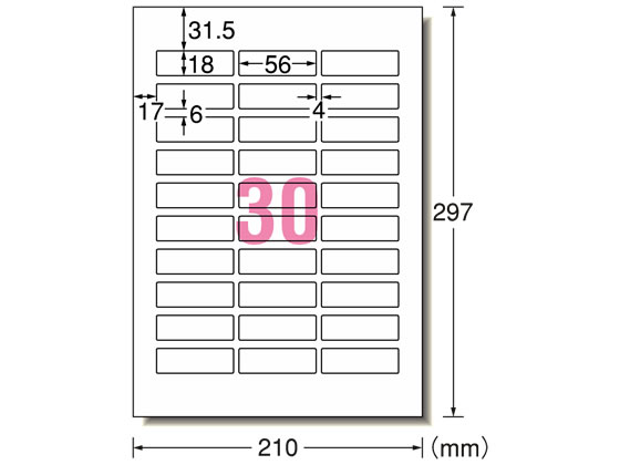 エーワン IJラベル[光沢紙]A4 30面 ネーム 表示用 10枚 29251 1袋（ご注文単位1袋)【直送品】