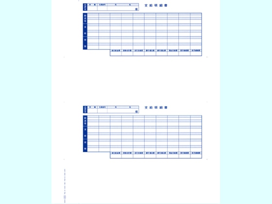 OBC 単票封筒用支給明細書 6202 300枚 6202 1箱（ご注文単位1箱)【直送品】