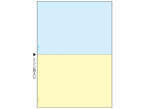 ヒサゴ マルチプリンタ帳票 A4カラー2面 100枚 BP2010 1冊（ご注文単位1冊)【直送品】