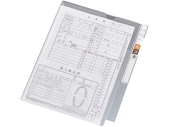 リヒトラブ カルテフォルダー フラップ付シングル縦型A4 100枚 HK2001 1箱（ご注文単位1箱)【直送品】