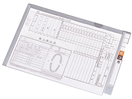 リヒトラブ カルテフォルダー フラップ付シングル横型A4 100枚 HK2003 1箱（ご注文単位1箱)【直送品】