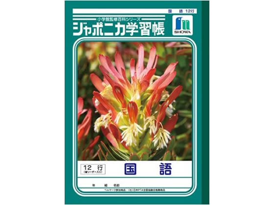 ショウワノート ジャポニカ学習帳 国語 12行 JL-11 1冊（ご注文単位1冊)【直送品】