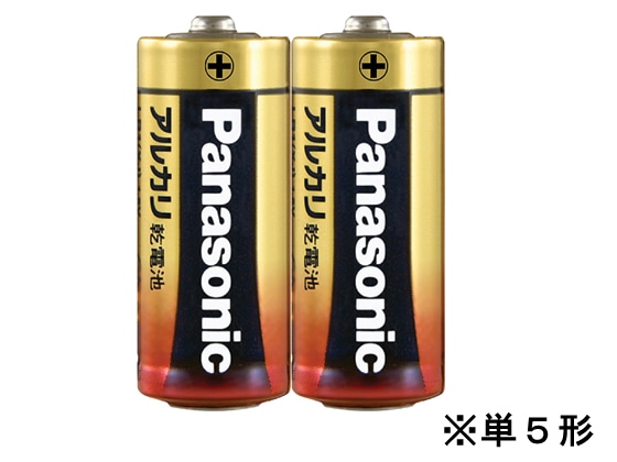 パナソニック アルカリ乾電池単5形2本 LR1XJ 2B 1パック（ご注文単位1パック)【直送品】