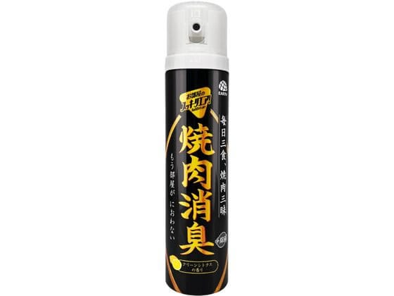 アース製薬 お部屋のスッキーリエア! 焼肉消臭 225ml 1個（ご注文単位1個)【直送品】