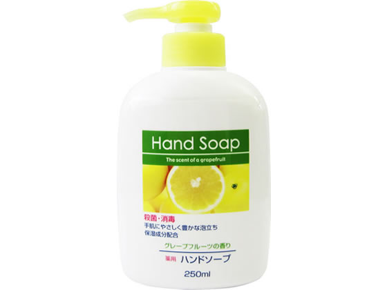 第一石鹸 第一薬用ハンドソープ本体 250ml 1本（ご注文単位1本)【直送品】