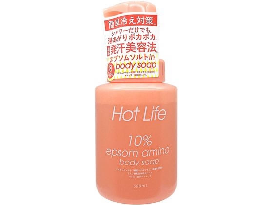 ペリカン石鹸 ホットライフ 泡ボディソープ 500ml 1個（ご注文単位1個)【直送品】