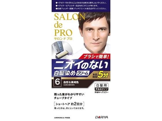 ダリヤ サロン ド プロ 無香料ヘアカラー メンズスピーディ 白髪用 6 1個（ご注文単位1個)【直送品】