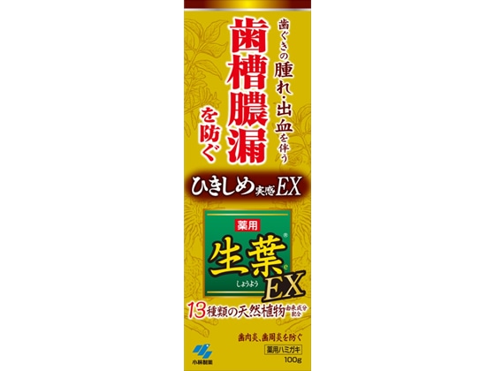 小林製薬 生葉EX100g 1本（ご注文単位1本)【直送品】