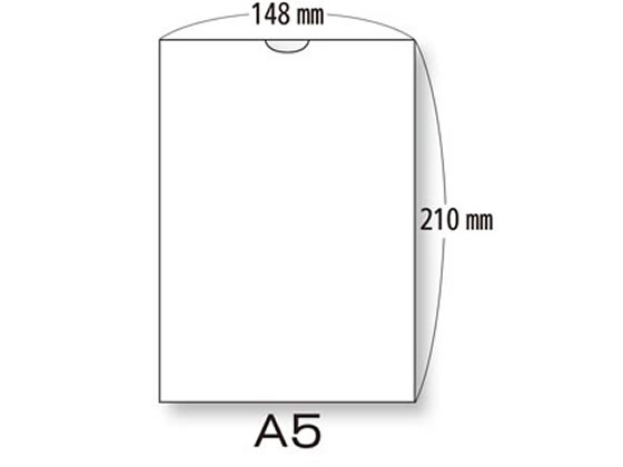 東杏印刷 プリンター薬袋(3方貼) 無地 A5 2000枚 AAZ10R 1箱（ご注文単位1箱)【直送品】