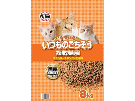 ペットアイ いつものごちそう 複数猫用 1個（ご注文単位1個)【直送品】