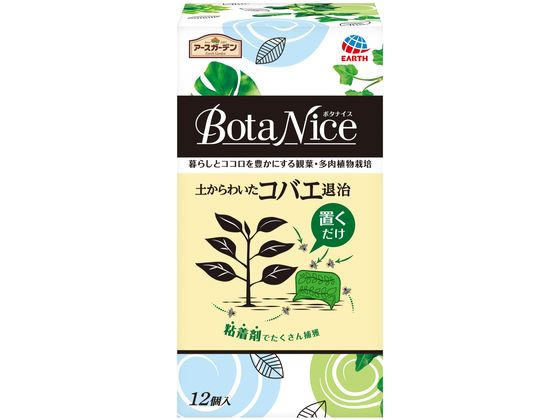 アース製薬 BotaNice コバエ退治 置くだけ粘着剤 12個入 1箱（ご注文単位1箱）【直送品】