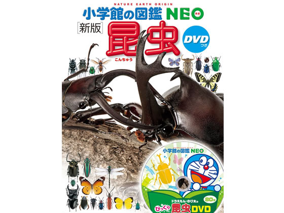 小学館 新版 昆虫 DVDつき 1冊（ご注文単位1冊）【直送品】