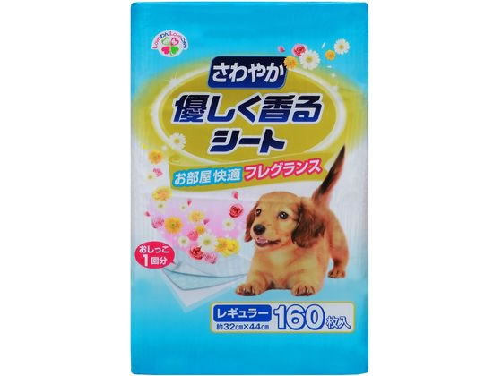 サノテック さわやか優しく香るシート レギュラー 160枚 1個（ご注文単位1個）【直送品】