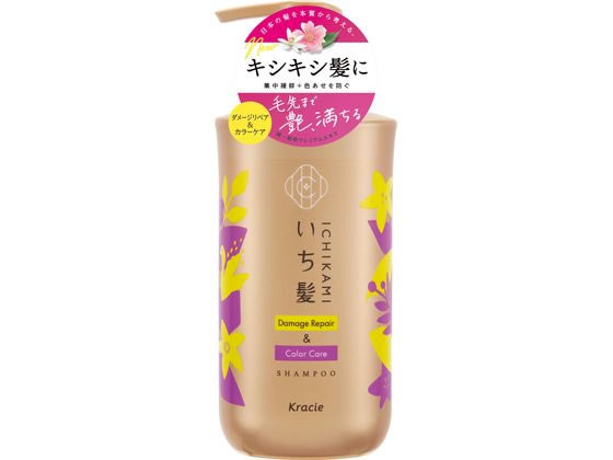 クラシエ いち髪 ダメージリペア&カラーケア シャンプー ポンプ 480mL 1個（ご注文単位1個）【直送品】