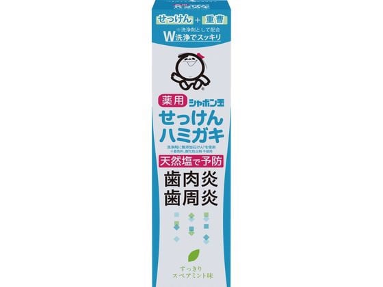 シャボン玉販売 シャボン玉薬用せっけんハミガキ80g 1個（ご注文単位1個）【直送品】