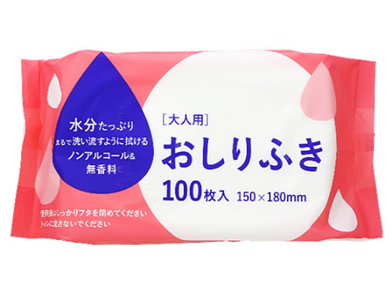 大和物産 大人用おしりふき 100枚入 81088 1ﾊﾟｯｸ（ご注文単位1ﾊﾟｯｸ）【直送品】