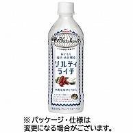 キリンビバレッジ 世界のKitchenから ソルティライチ 500ml ペットボトル 24本/箱 ※軽（ご注文単位1箱）【直送品】