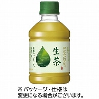 キリンビバレッジ 生茶 280ml ペットボトル 24本/箱 ※軽（ご注文単位1箱）【直送品】