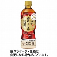 ポッカサッポロ 加賀 棒ほうじ茶 525ml ペットボトル 24本/箱 ※軽（ご注文単位1箱）【直送品】