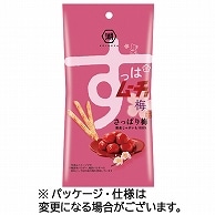 湖池屋 スリムバッグ スティックすっぱムーチョ さっぱり梅 34g 6袋/セット ※軽（ご注文単位1セット）【直送品】