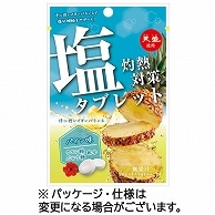 赤穂化成 灼熱対策 塩タブレット パイン味 28g 1袋 ※軽（ご注文単位1袋）【直送品】