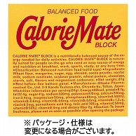 大塚製薬 カロリーメイトブロック チョコレート味 20g 40本/箱 ※軽（ご注文単位1箱）【直送品】