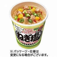 日清食品 カップヌードル ねぎ塩 76g 20食/箱 ※軽（ご注文単位1箱）【直送品】