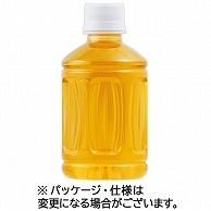 富永貿易 神戸居留地 緑茶 ラベルレス 280ml ペットボトル 24本/箱 ※軽（ご注文単位1箱）【直送品】